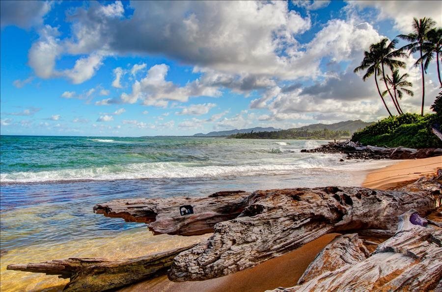 vacation rental condos